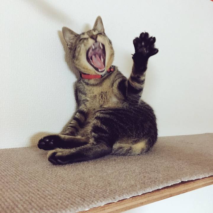 B6d945eb 1557 4a19 9eb3 a49134a75a1f