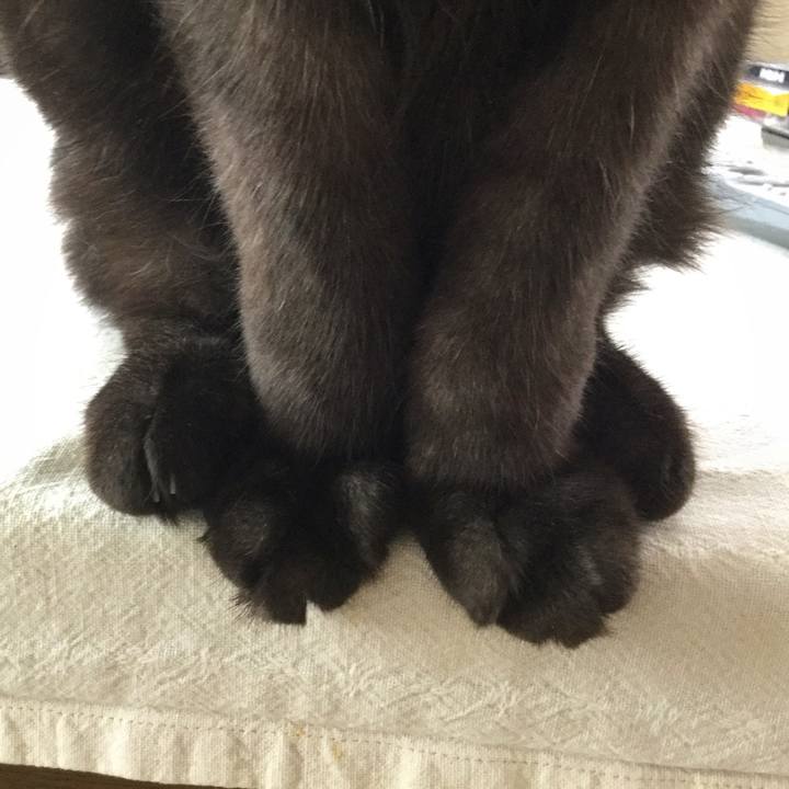 B6d96c74 578c 47c4 aadd 645dde41b2bf