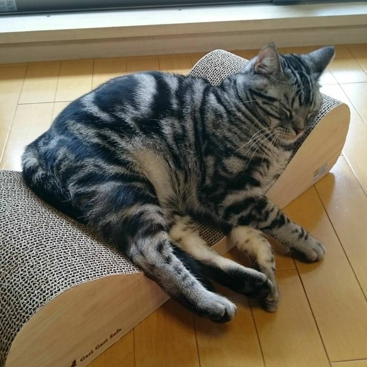 B6da717d 9713 4b71 b633 93d04db75fc2