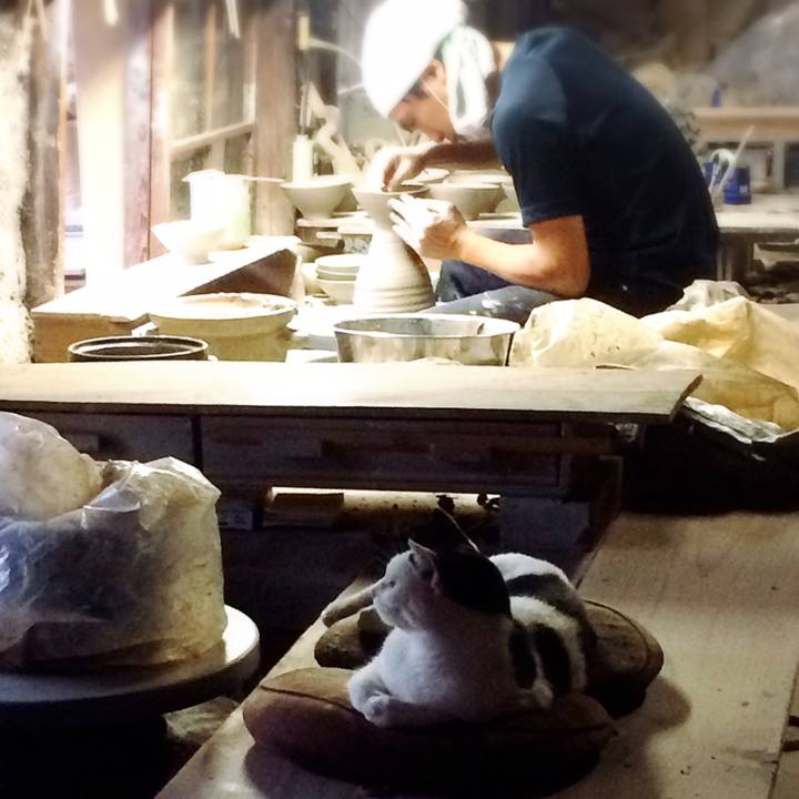 B6daa16b e526 4915 a405 cdf303adc007