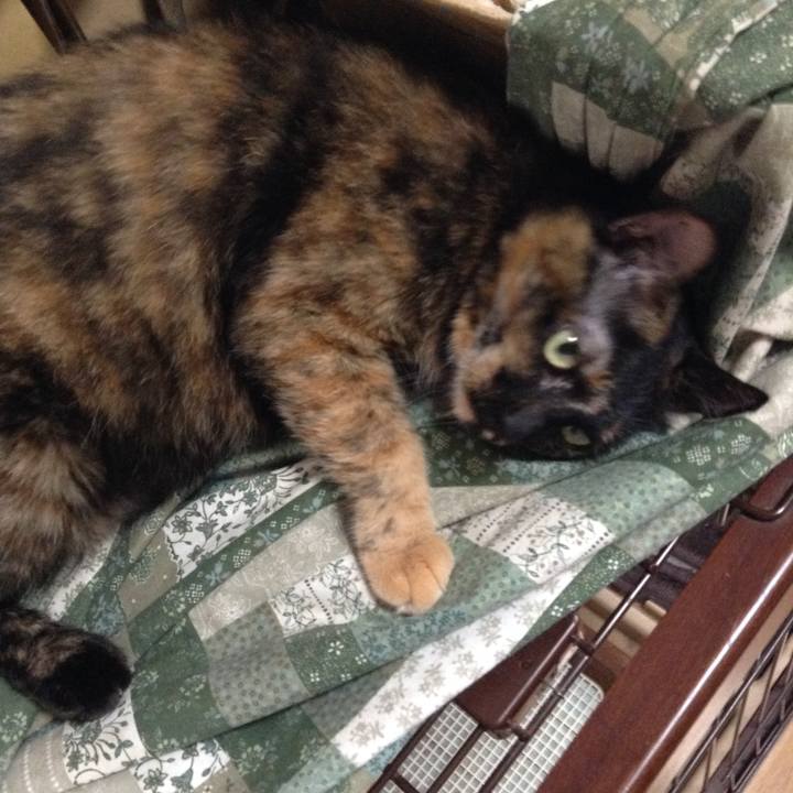 B6daba5a fd65 4933 8965 970b835c0345