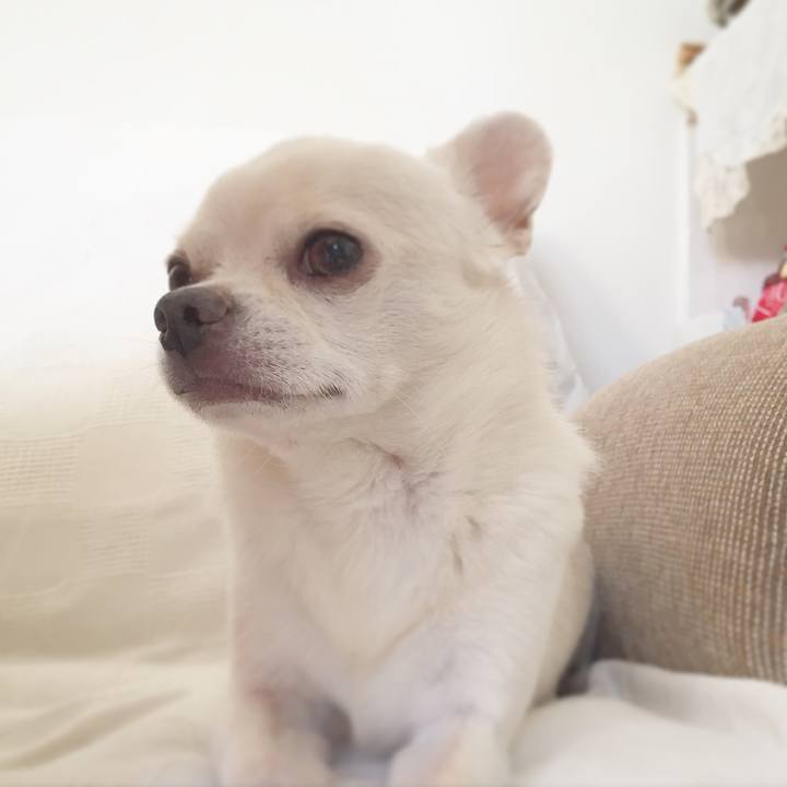 B6dad5b2 2bb3 46e7 835a 17b7856e79d2