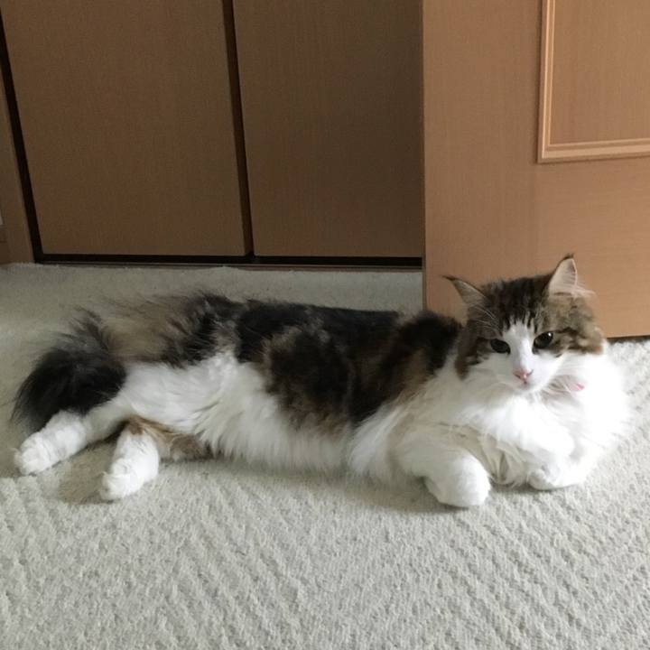 B6dc46ed a4f2 41da a208 ba0a670986cb