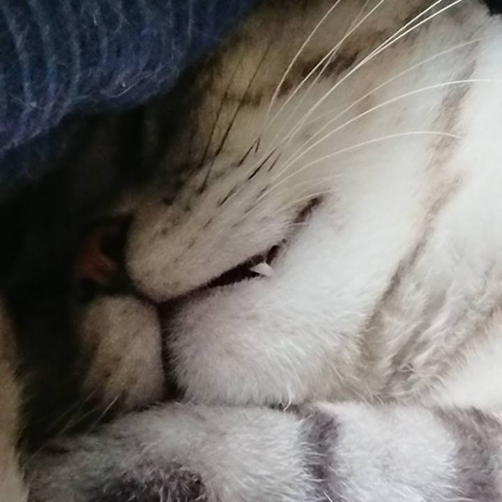 B6dcc572 3fda 400a 8f9c 79de5c0bb8a7