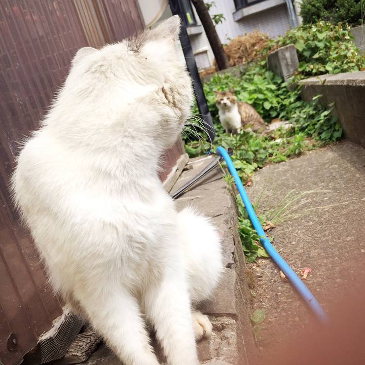 B6dd150b ba02 40bf 9ef1 6cc9dc91f618