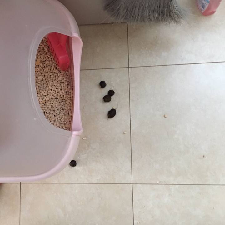 B6dd5560 a791 4689 a2fb 9290024dd0c7