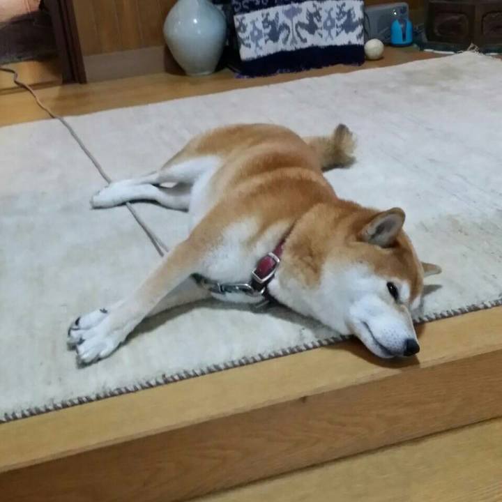 B6dd98b6 7bb9 4317 b49a 5b60106f0078