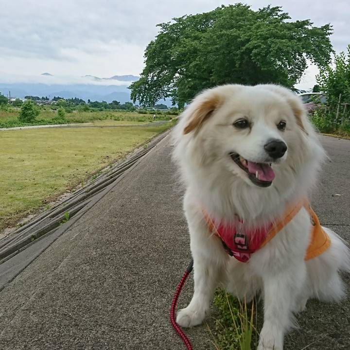 B6ddad6a 757b 490b b2f1 44b843d3f997