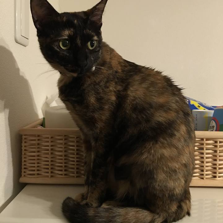 B6ddf19d 9b16 4566 8769 09ff020ca865