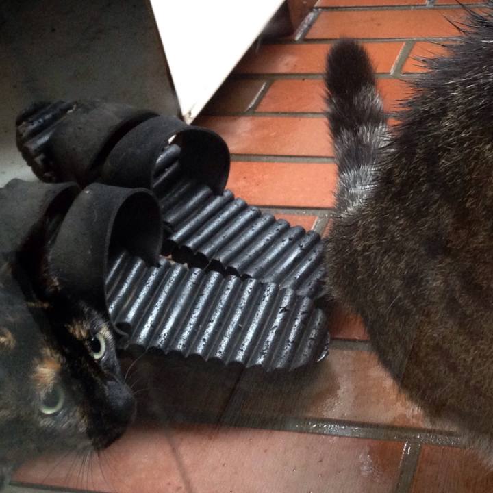 B6de0e69 5cf3 4db6 bcf8 4223ade5a1c1