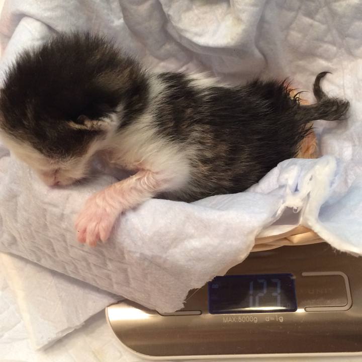 B6de6c2e edbc 4826 a92a acceb25a5690