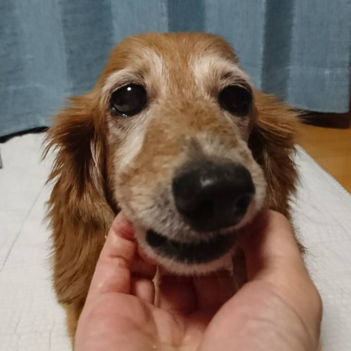 B6de9f01 b841 485d bdaa 8c9d6d6e2025