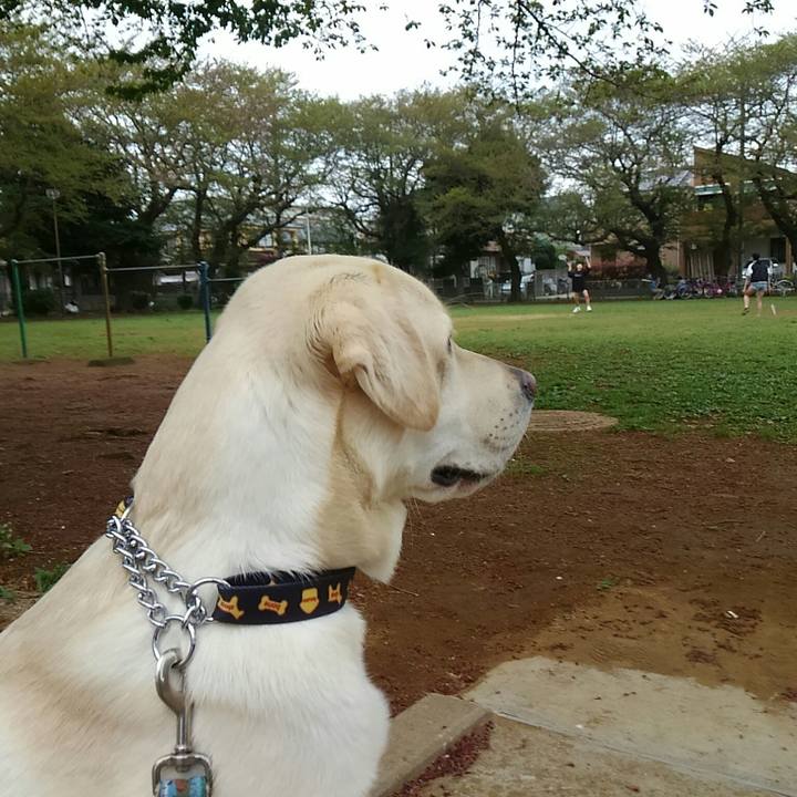 B6ded73f 9fcc 4cf1 b690 4a6c8f012355