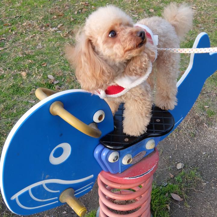 B6df03d7 26fc 448f 98f4 880d45a1ea87