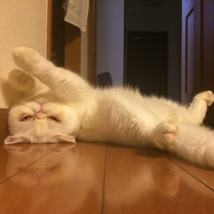 B6dfefb5 ee1a 41a6 9f9b e1219e98ff22