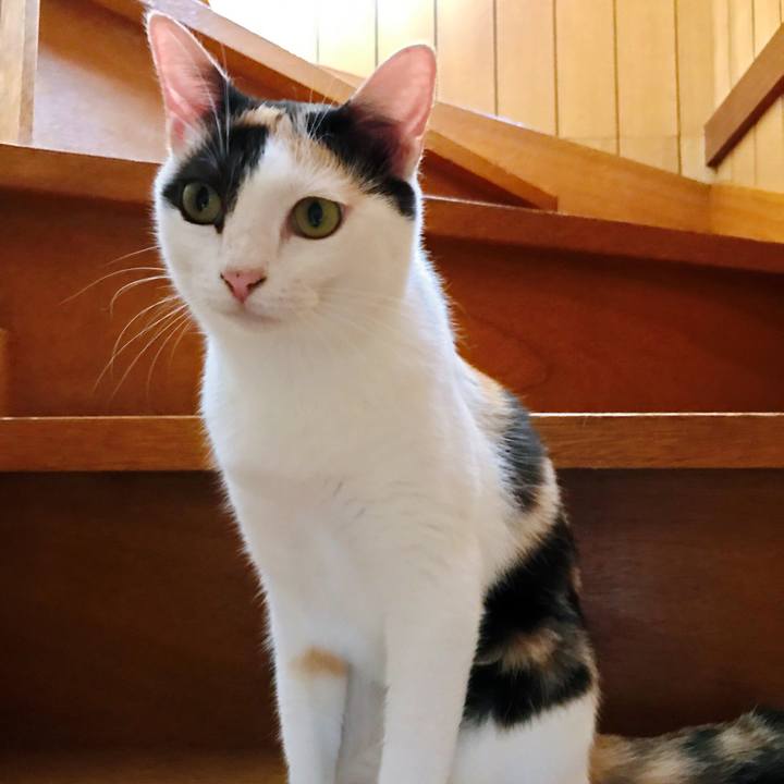 B6e1488a fd31 4401 90fb f086de0fd4fb