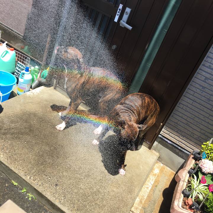 B6e1d344 0fcc 4b6a 872a abb464675f91