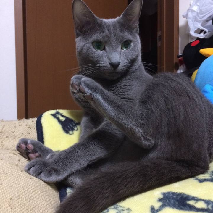 B6e220e0 a363 4a4c 83b8 79a54d67a5f9