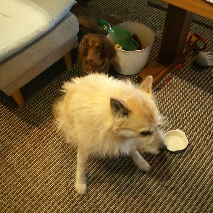 B6e2b01c e80b 4269 8dc1 c477f65f6f20