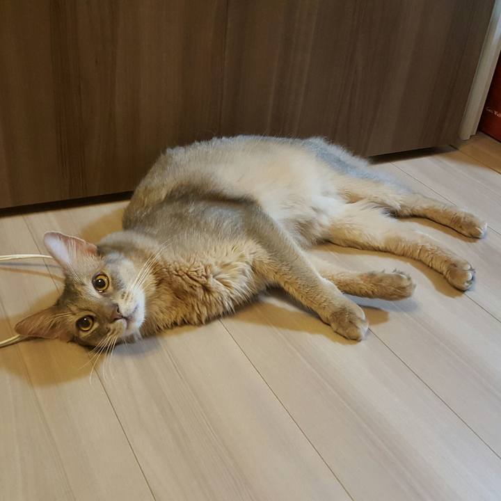 B6e2c7a3 f4de 47ba 96dd 73171537f17d