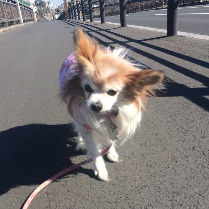 B6e2d43a 107e 4ddd 8019 2be352c015ce