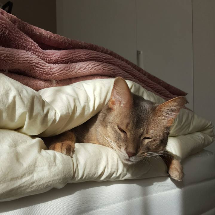 B6e2e0c9 ec42 4394 bf6d f9f7598aaa07