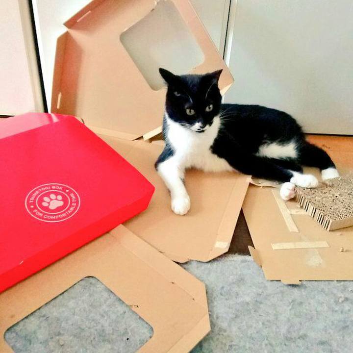 B6e2e555 f235 4770 905a 87cc76d2d8a5