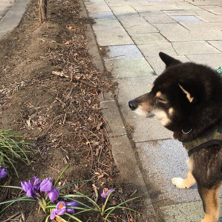 B6e336b4 f96b 4e47 b226 80721a1a9cf6