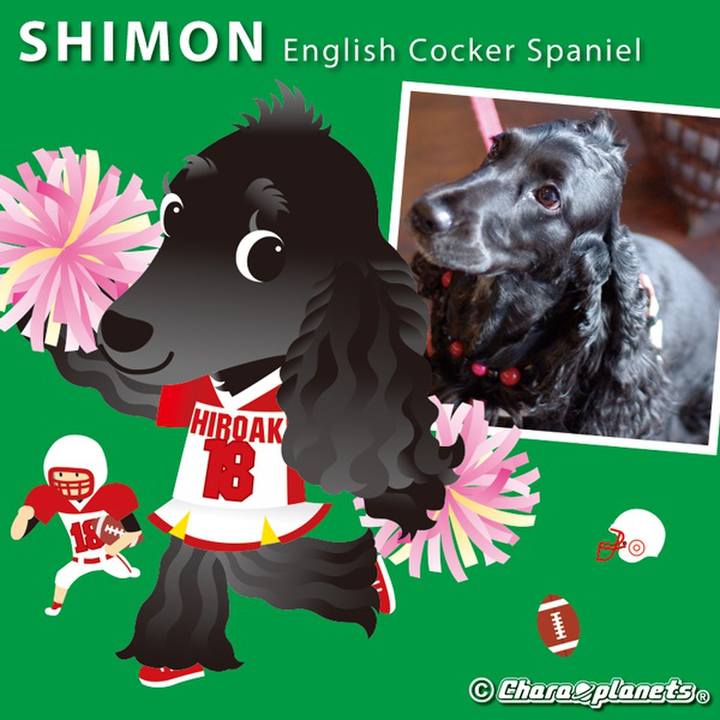 B6e39370 93fd 46e9 a319 f7fac6f3e033