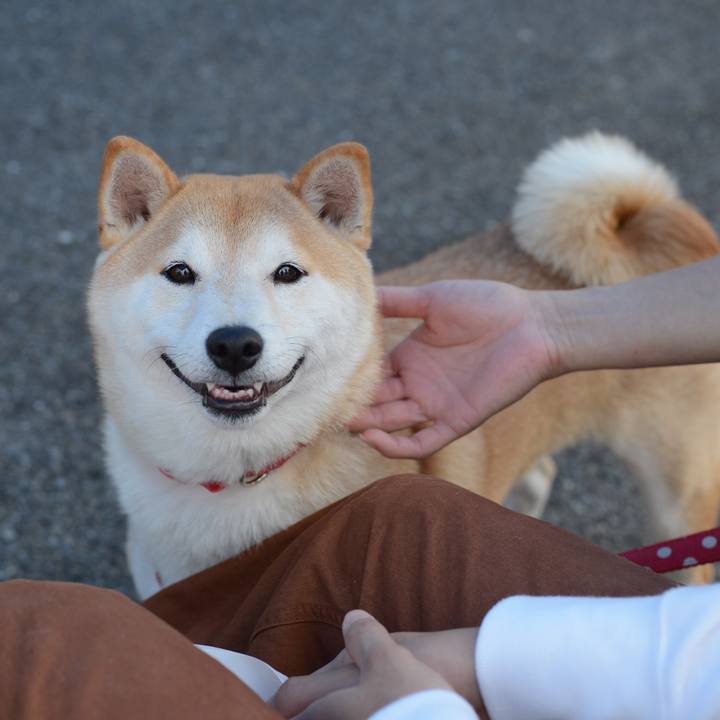 B6e42be2 a0cc 4fad b118 2db396f041f5