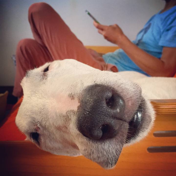 B6e4eb54 239a 4d88 b10f 728fce5c6e82