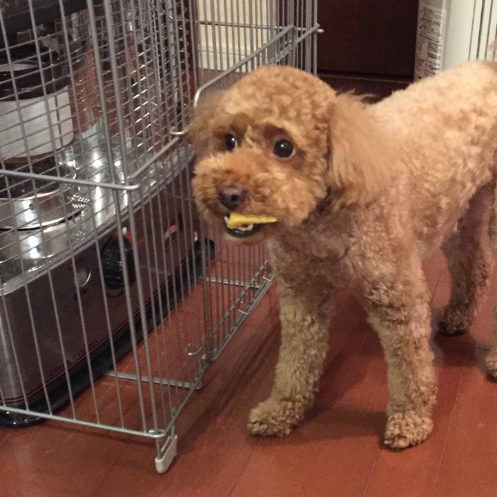 B6e53f32 6b74 4b38 a845 f39abc76a251