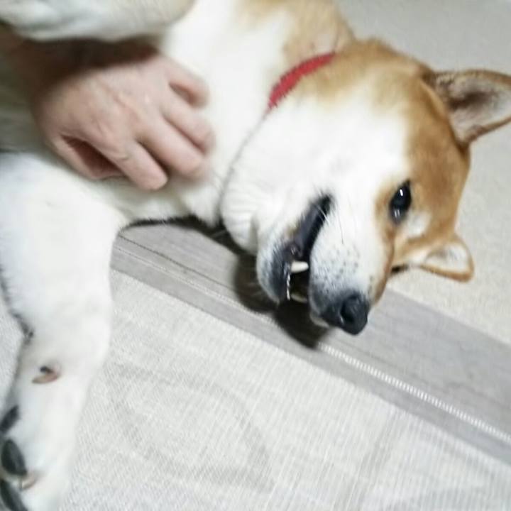 B6e5975d 6044 413e 94a6 17003144e46b