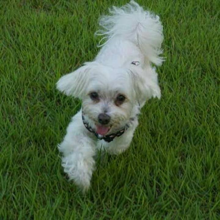 B6e5e651 900d 4d50 83b0 a58a47743e17