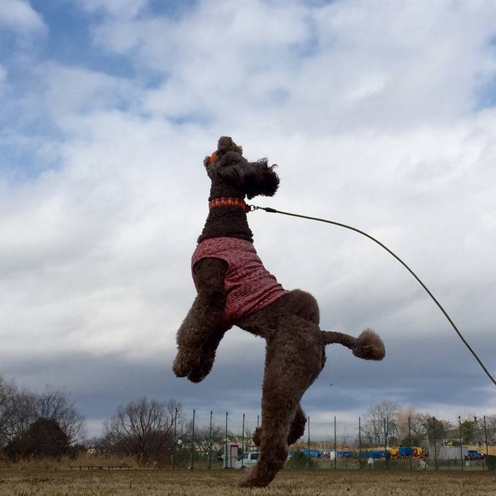 B6e73a5c fcb6 4bca 8171 323e87af1057