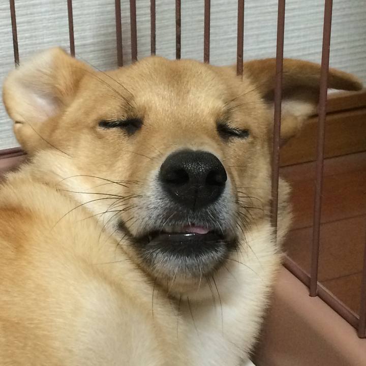 B6e80e25 7e59 41d7 a0fa b2ffc6f8d880