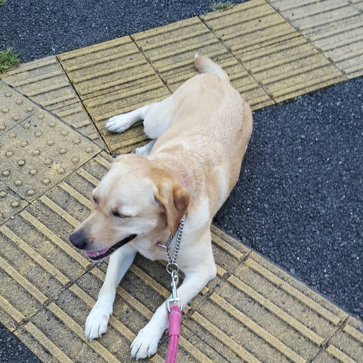 B6e82584 272f 4935 84e1 ab376908f713