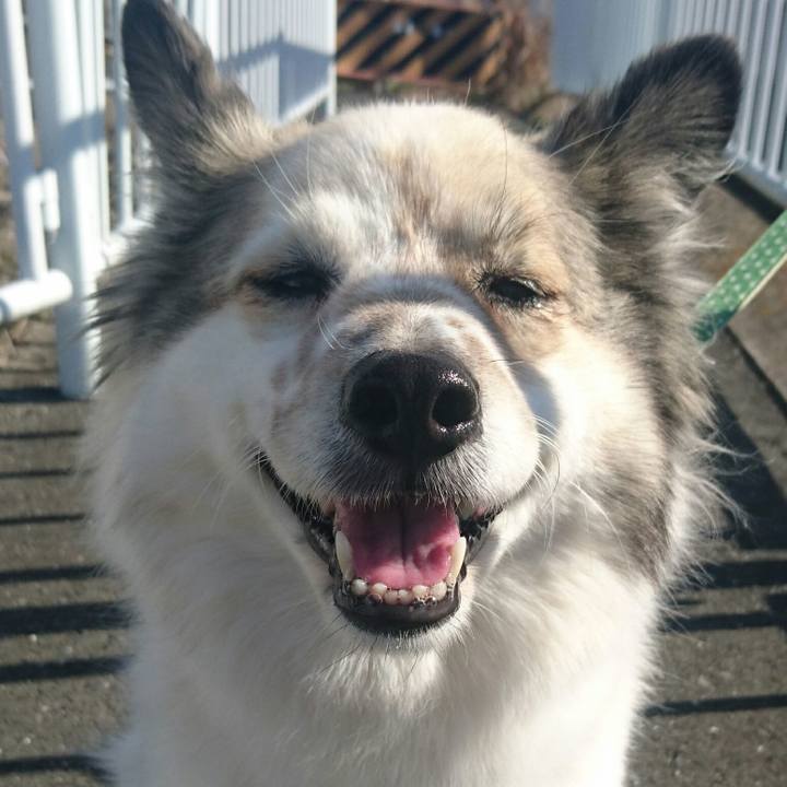 B6e858b1 e6ee 40d6 a71e 67b5c2ec3472