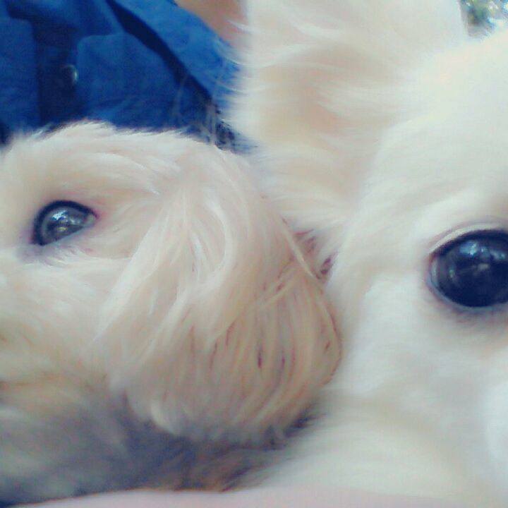 B6e89bf3 bac1 41a5 8d9c 5091d829ae55