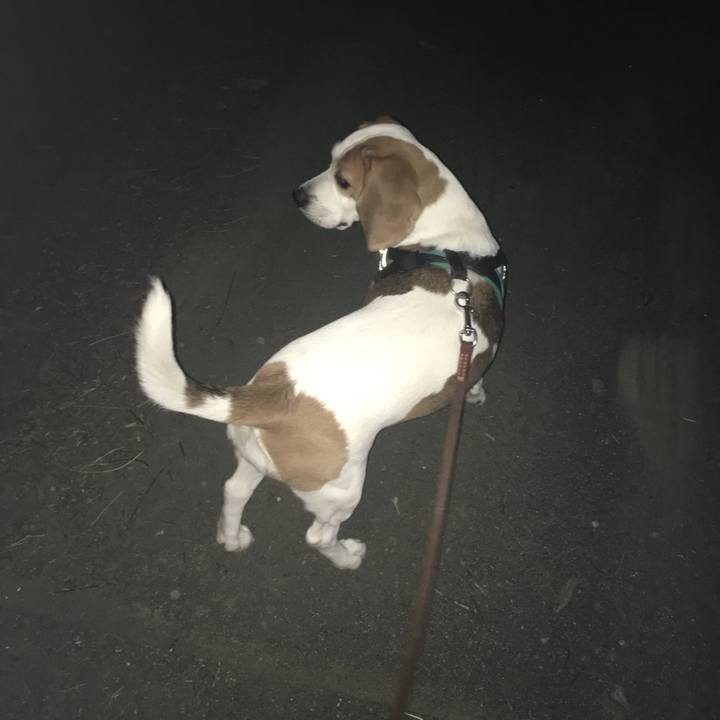 B6e89eac 91ea 4c6d bc11 3a9249b81f1f