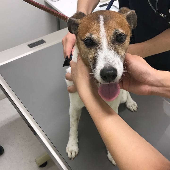 B6e9565e 67e8 4637 97be 6e15337da5af