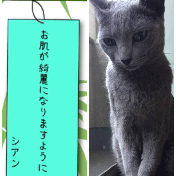 B6e9810c 65dc 412c 848e 5021df7596d2