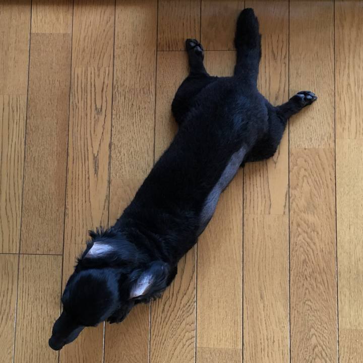 B6e99395 4cc6 4e54 8563 91fd393acbc2