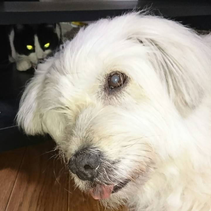 B6ea1e48 d0c6 4e59 996f f307e76ee08a