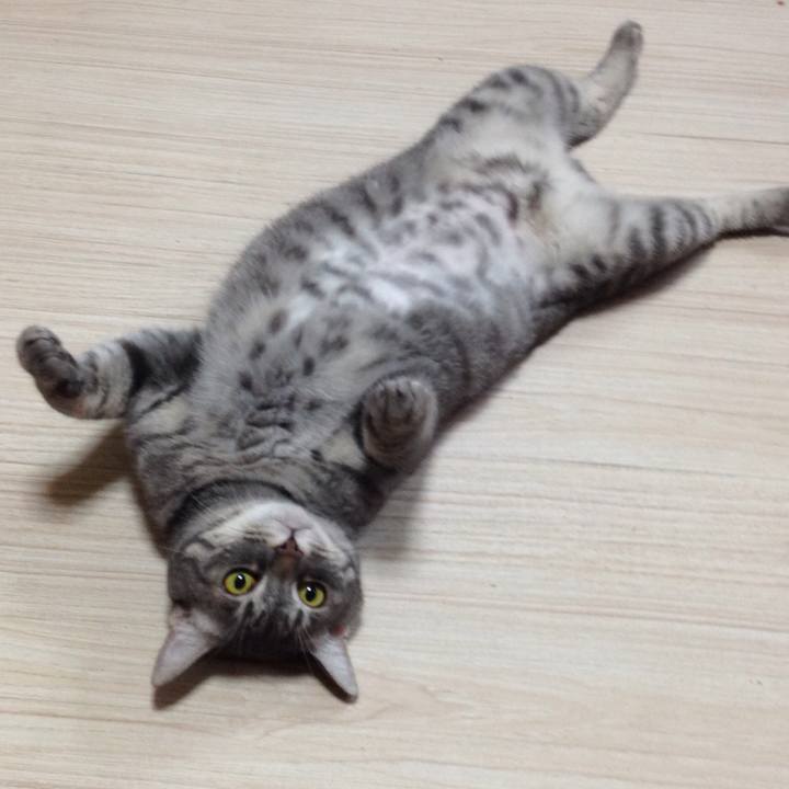 B6ea9c3e 5853 4a9c ac9e 6aac4460ca04