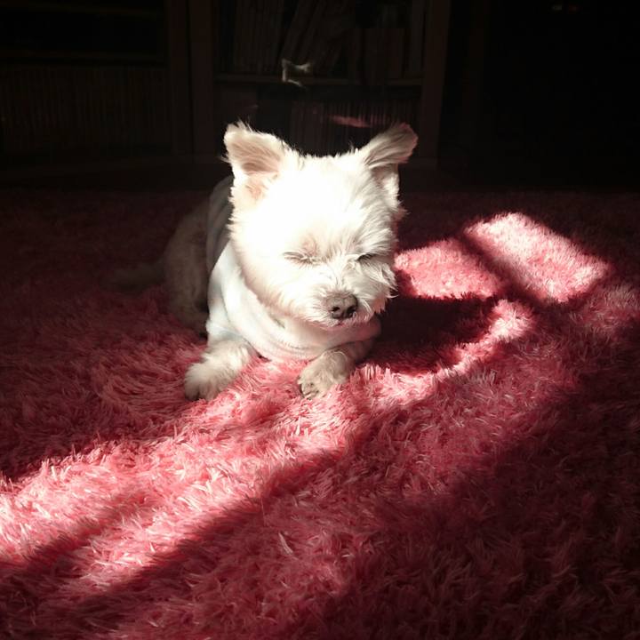 B6eaa3dd 37cd 497e af9f 8e846f7a2037