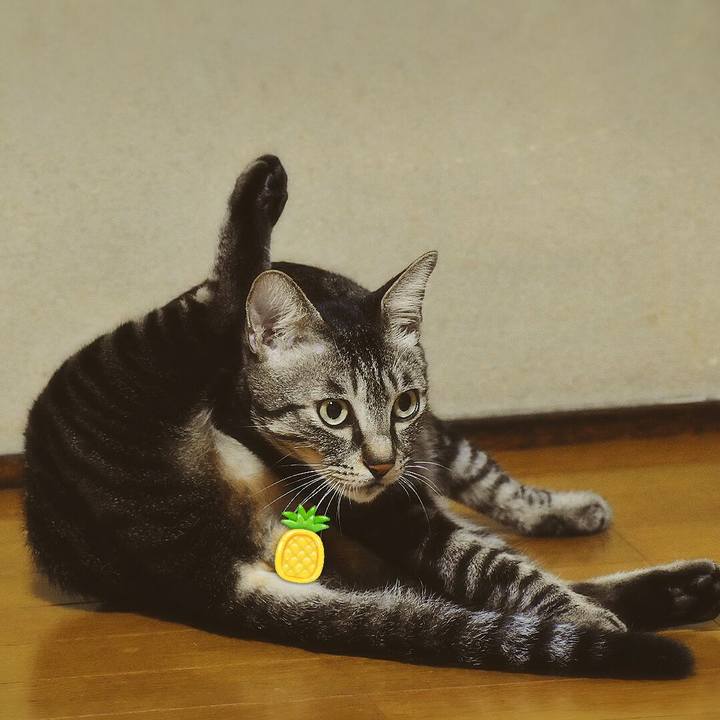 B6eb857b c5b3 4674 895f 32fb36246771