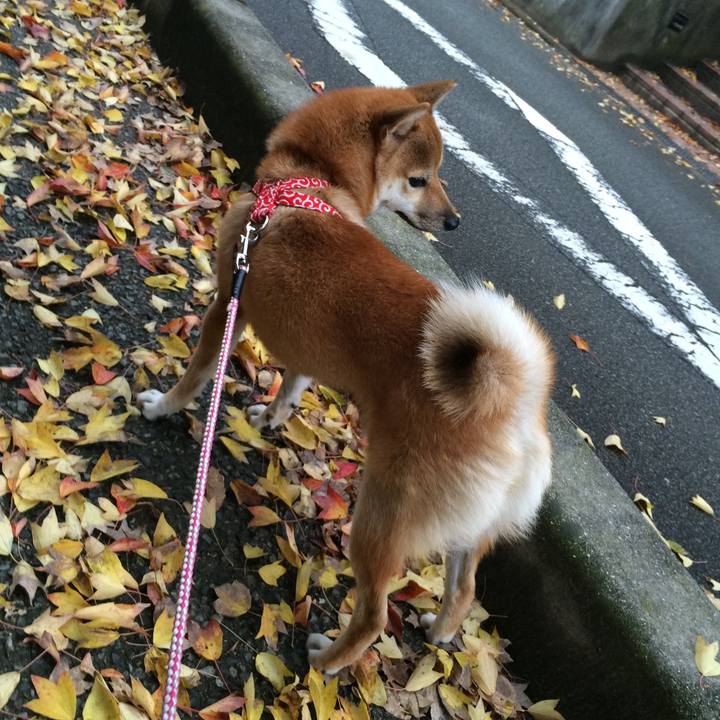 B6eba83a f92c 4a15 978d bdf8389bf273