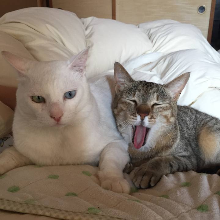 B6ec2eaa 9a5e 49a3 8e50 ed5383d6e5a1