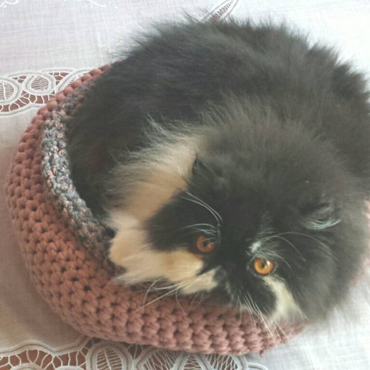 B6edc9c4 a866 4fb0 a0bc 2136b3b18815